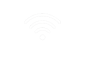 Network Icon